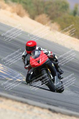 media/Apr-10-2022-SoCal Trackdays (Sun) [[f104b12566]]/Turn 10 (1pm)/